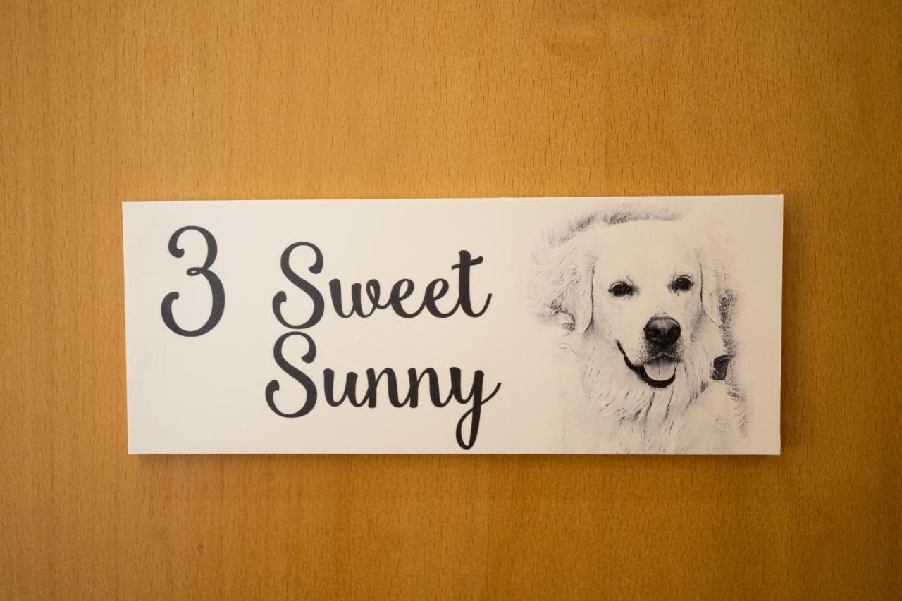 Ostello Sunny, The House - Al