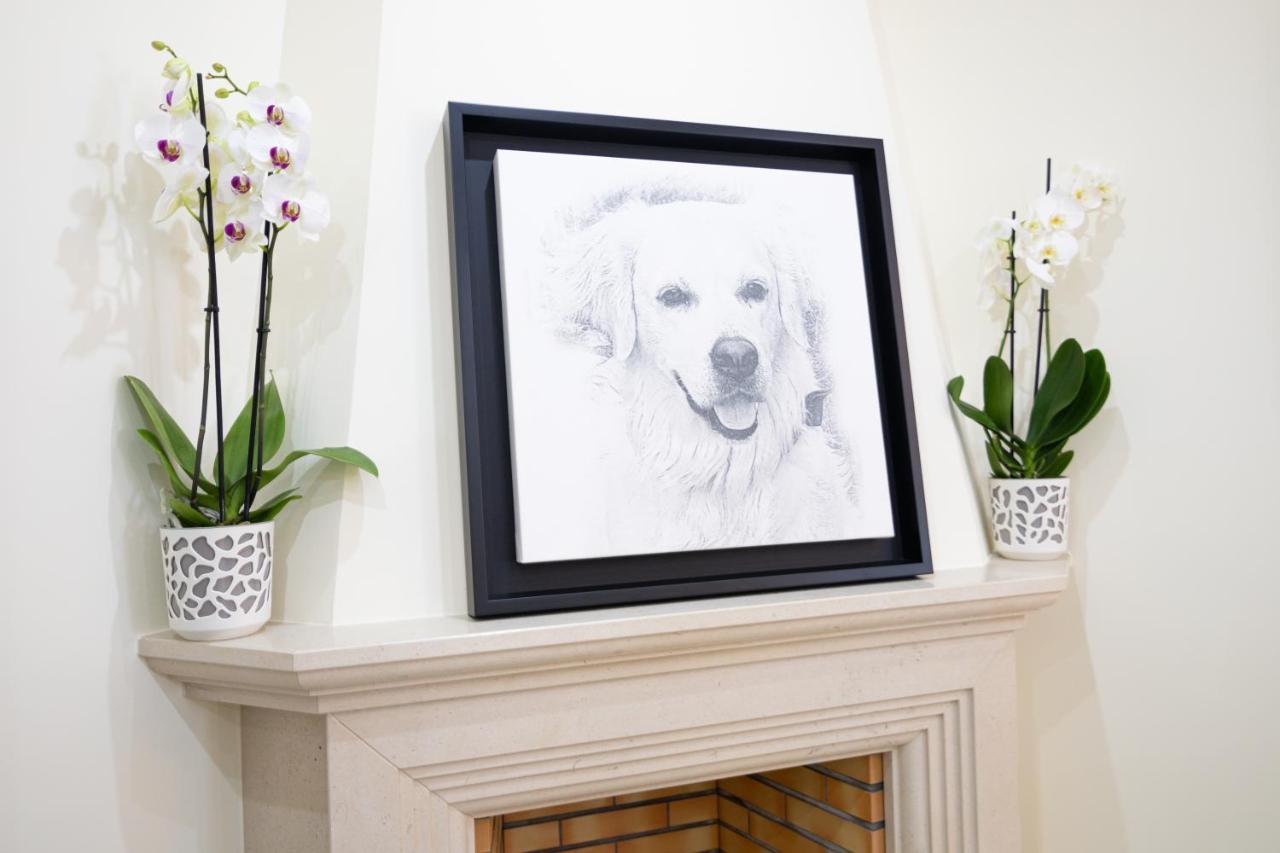 Sunny, The House - Al Ostello *